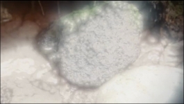 The Curse of Oak Island - Season 12 Episode 03